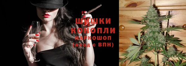 дживик Гусь-Хрустальный