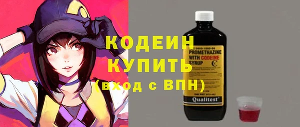 стафф Гусев