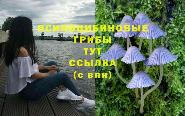 мяу мяу кристалл Горняк