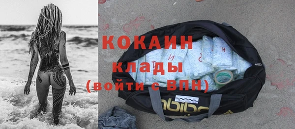 дживик Гусь-Хрустальный