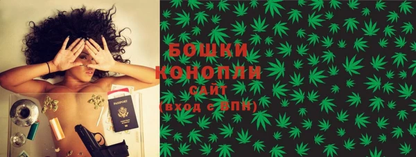 стафф Гусев