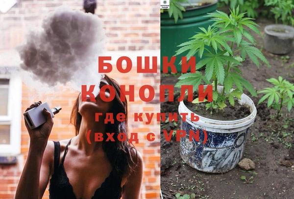 spice Гусиноозёрск