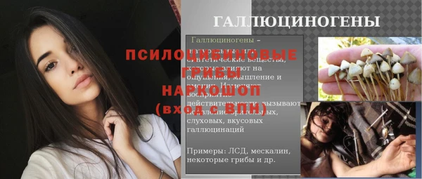 стафф Гусев